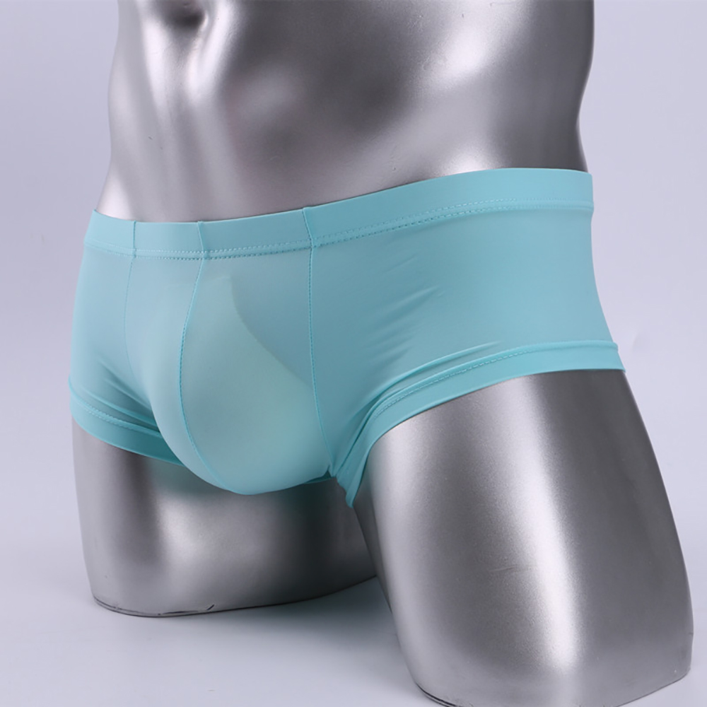 Pouch Boxer Pouch - Nieuwe heren sexy lichtgewicht mesh boxer