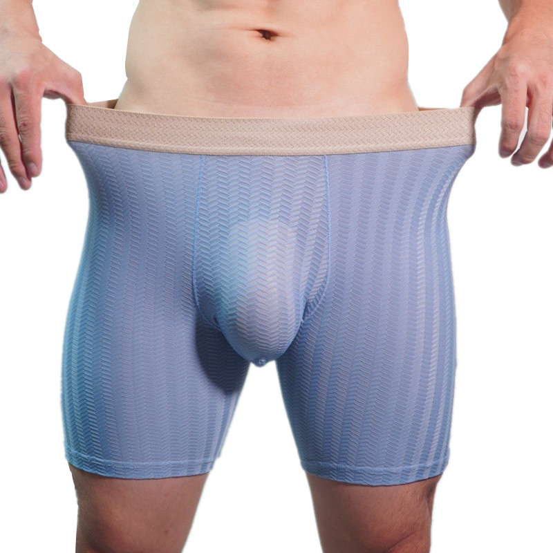 Heren Boxershorts Homme Nylon  - Long Leg Trunk Men recensie en prijs