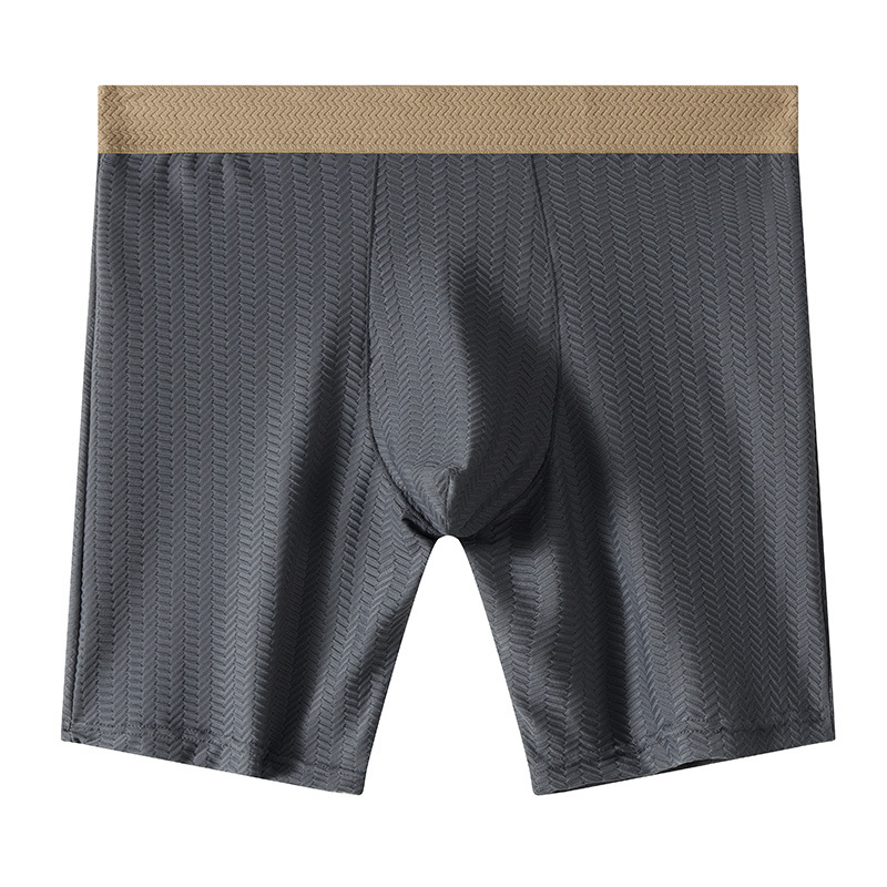 Heren Boxershorts Homme Nylon  - Long Leg Trunk Men recensie en prijs