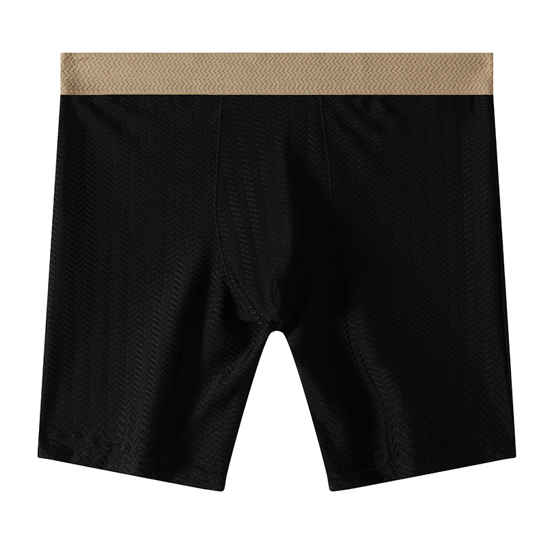 Heren Boxershorts Homme Nylon  - Long Leg Trunk Men recensie en prijs