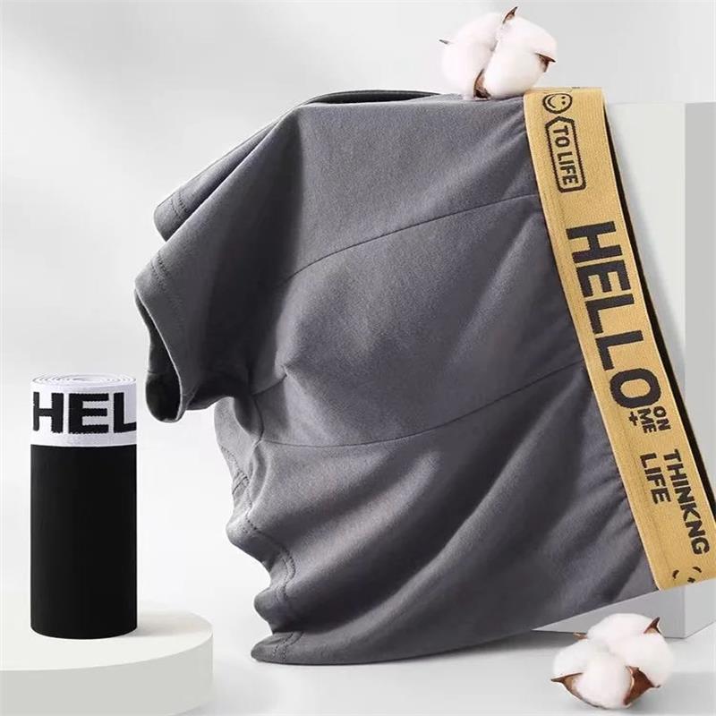 10 Stuks/Mannen Ondergoed Mann - Boxer Shorts Modal recensie en prijs