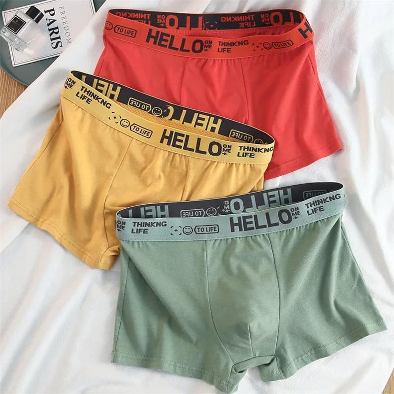 10 Stuks/Mannen Ondergoed Mann - Boxer Shorts Modal recensie en prijs