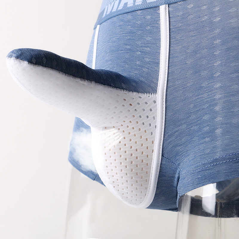 Heren boxershorts van ijszijde - Mesh Sport Boxer recensie en prijs