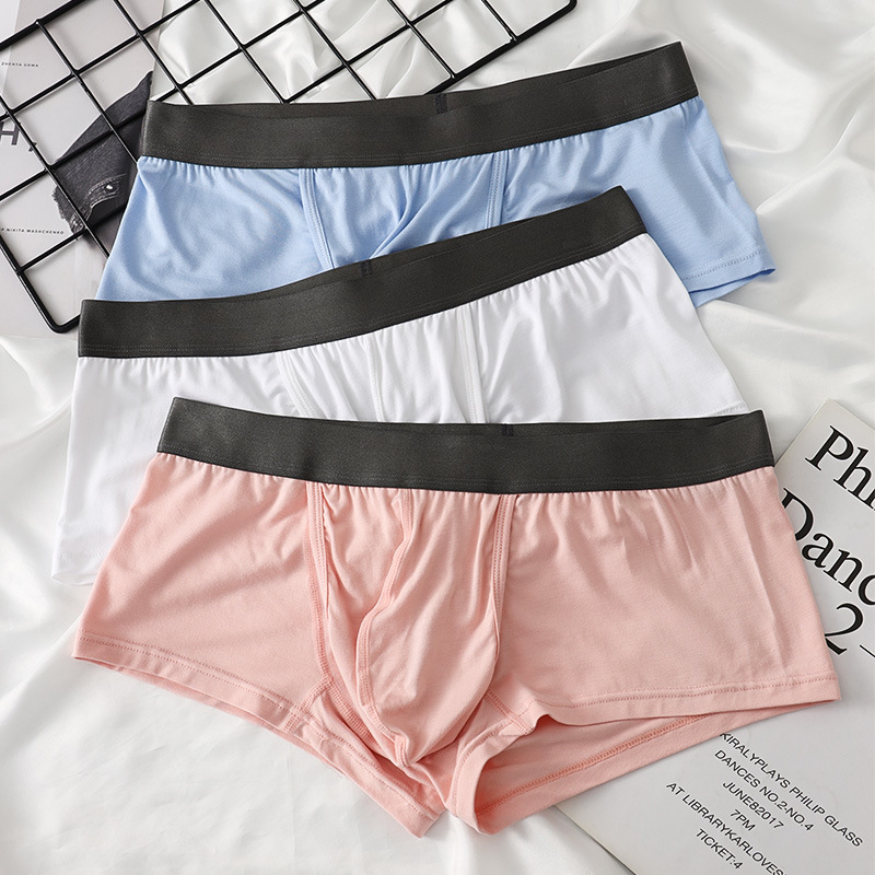 Heren boxershorts van bamboeve - Bamboo Fiber Trunk recensie en prijs