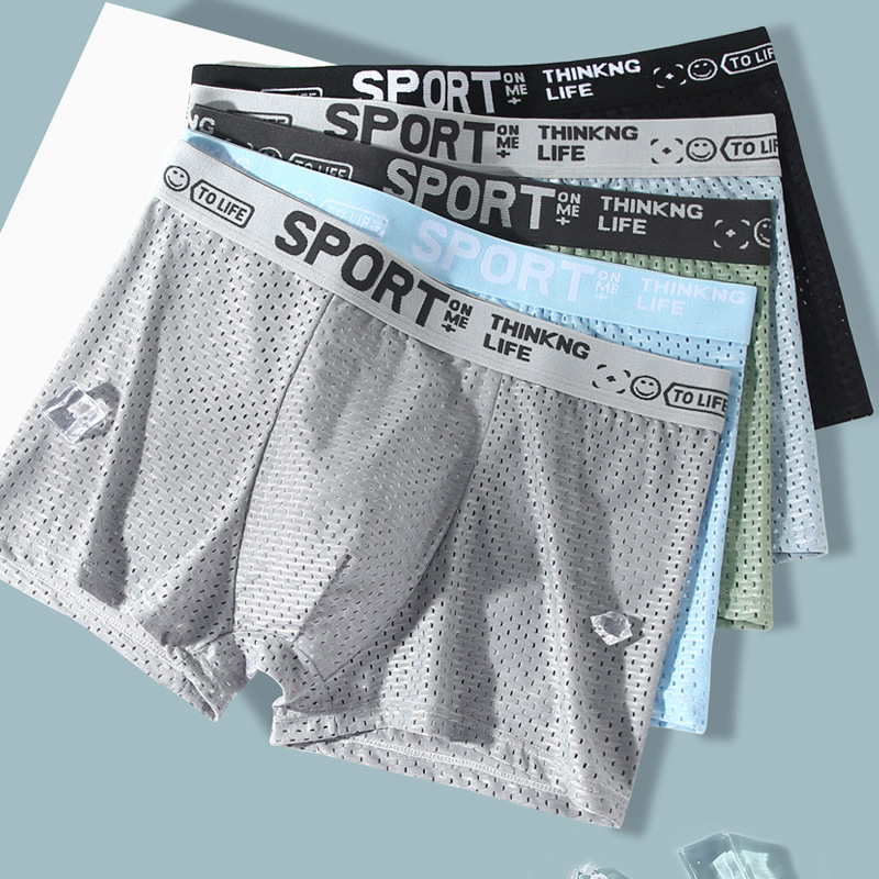 5 stuks heren ice silk mesh bo - Mesh Sport Boxer recensie en prijs