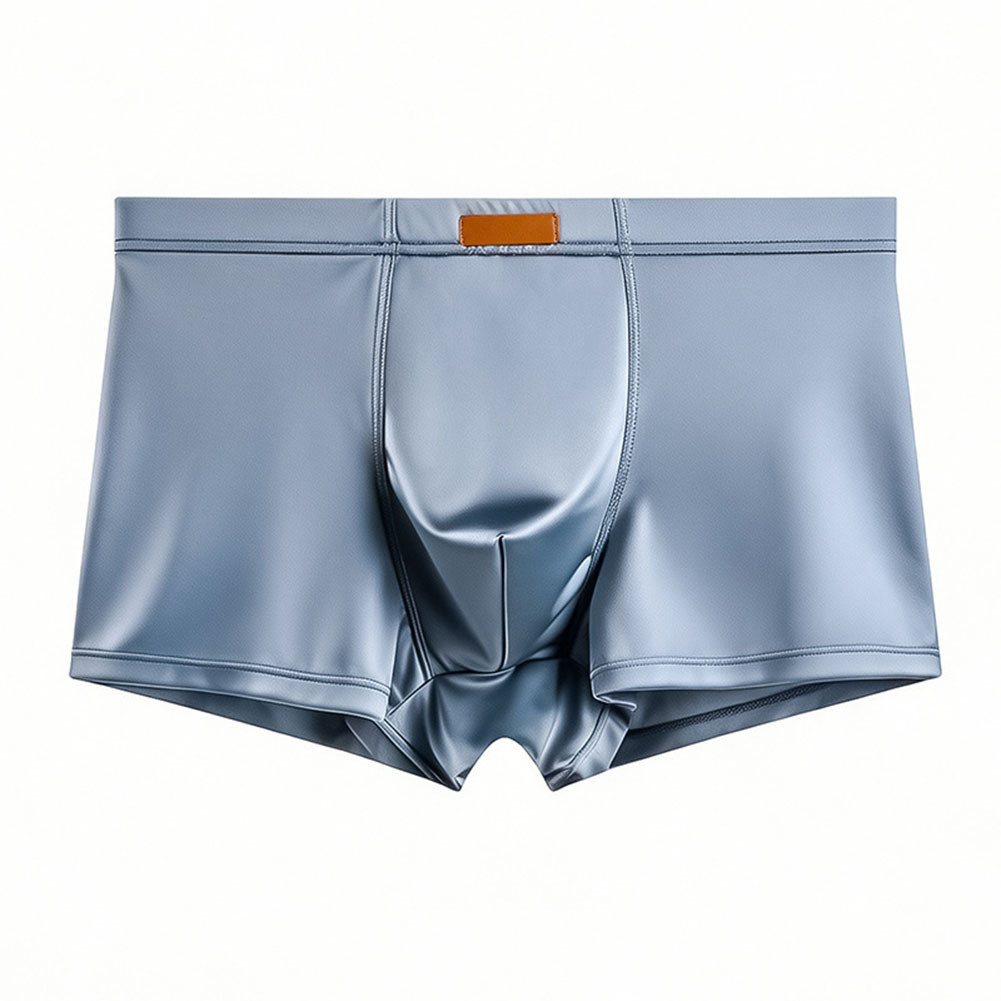 Heren Ijszijde Satijnachtige B - Pouch Boxer Pouch recensie en prijs