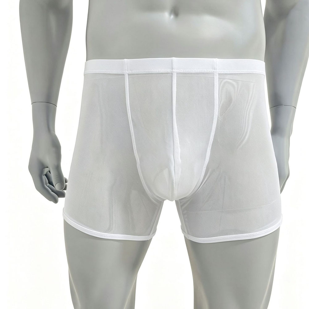 Heren Mesh Doorzichtige Ultrad - Long Leg Trunk Men recensie en prijs