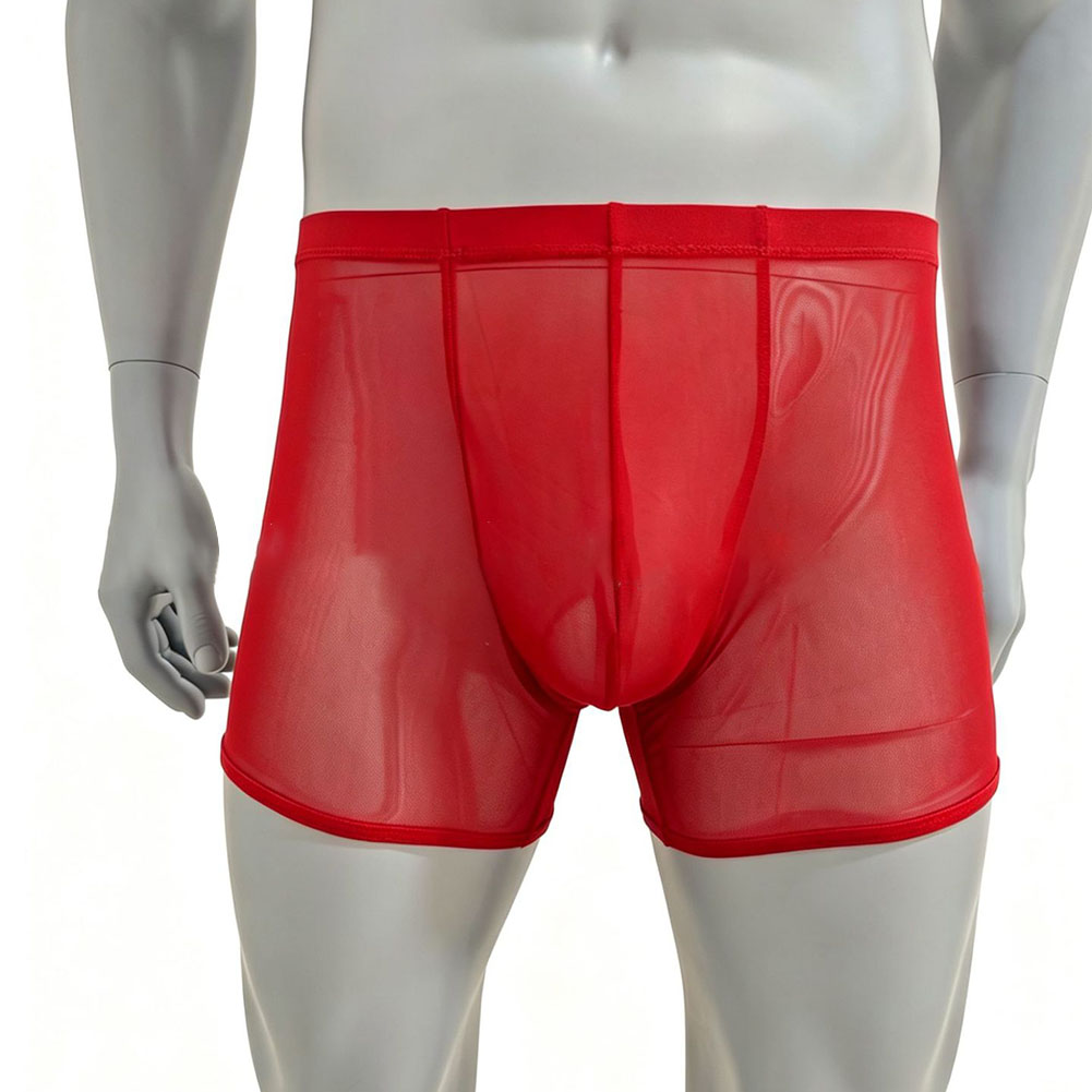 Heren Mesh Doorzichtige Ultrad - Long Leg Trunk Men recensie en prijs