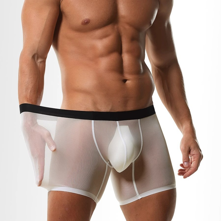 Heren boxershorts met lange pi - Long Leg Trunk Men recensie en prijs